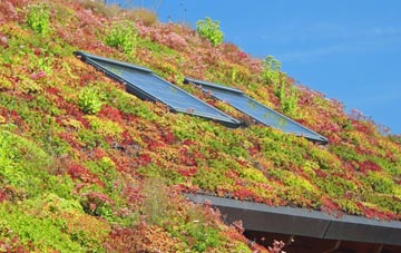 Southam living roof systems